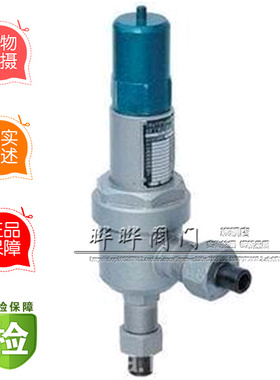 A61H A61Y-320C 弹簧微启式安全阀 安全阀 DN10~ DN25