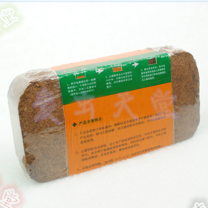 爬宠蜘蛛蝎子蜈蚣火玫瑰多肉植物爬宠缸/箱