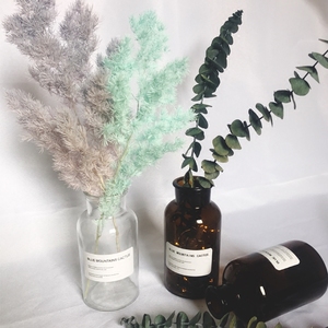 INS风干花花束北欧风软装摆件透明棕色玻璃瓶水培复古植物花瓶