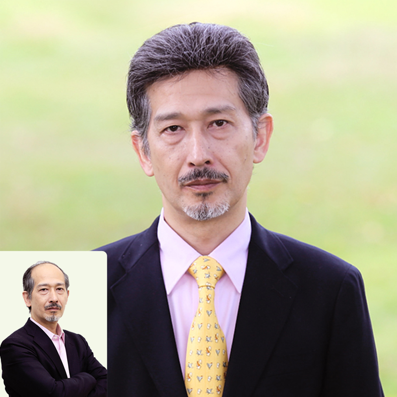 Extension mèches - Ref 224129 Image 1