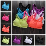 Coques pour soutien-gorge CANVAUS - Ref 822221 Image 124