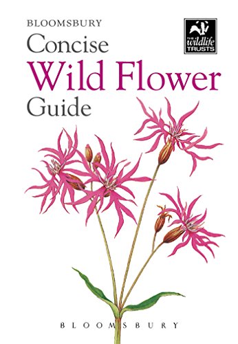 【预售】Concise Wild Flower Guide