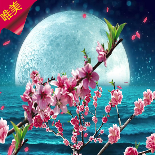 【月色桃花】中秋唯美大海中国风戏曲背景七夕情人节高清视频素材