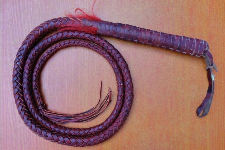 Article équitation - Ref 1383061 Image 1