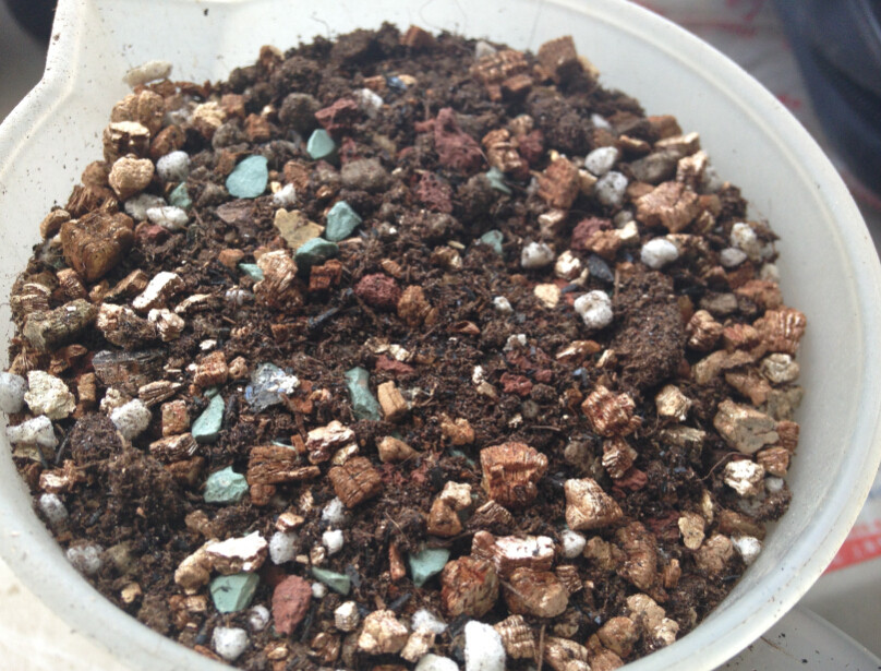 植物蛭石珍珠岩多肉土