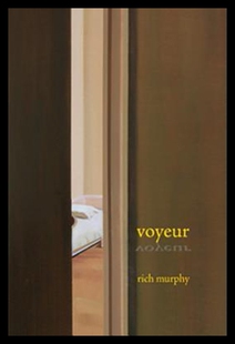【预售】Voyeur
