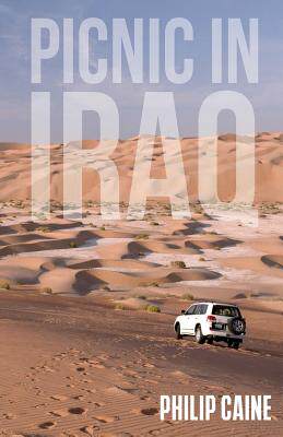 【预售】Picnic in Iraq