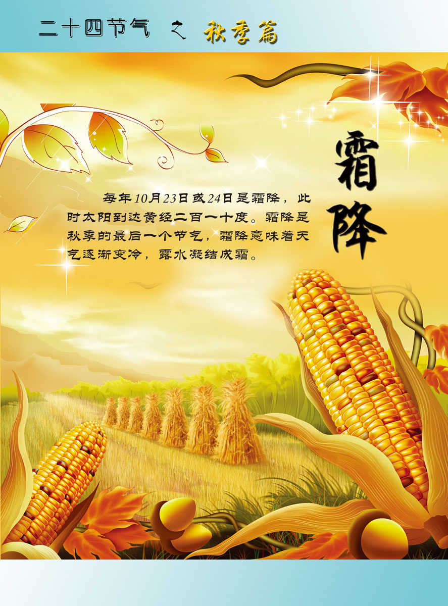208海报展板素材(制作)344二十四节气 秋季篇 霜降