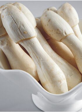 2斤鸡腿菇营养丰富菌野生食用菌