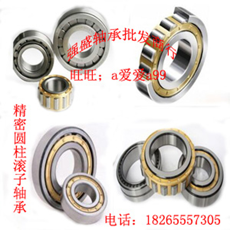 圆柱滚子轴承N/NJ/NUP/RNU/NF/NCL202 203 204 205 206EM/ETN/ENV