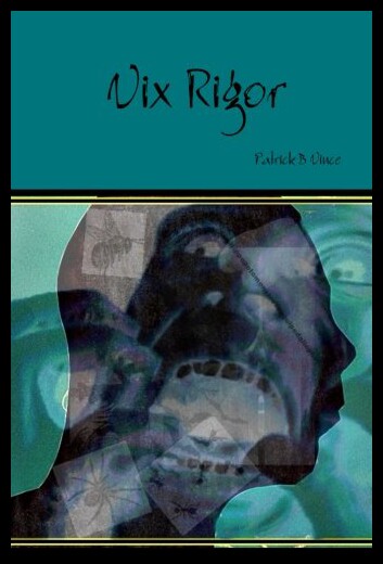 【预售】VIX Rigor