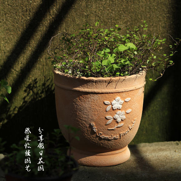 浮雕玫瑰绿萝虎皮兰奖杯陶瓷陶土素陶透气兰花多肉红陶素烧花盆大