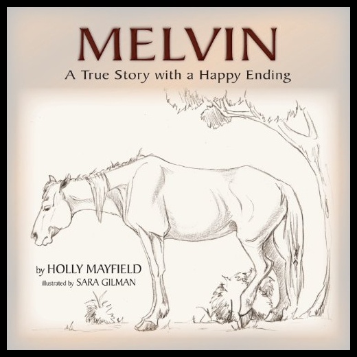 【预售】Melvin: A True Story with a Happy Endi