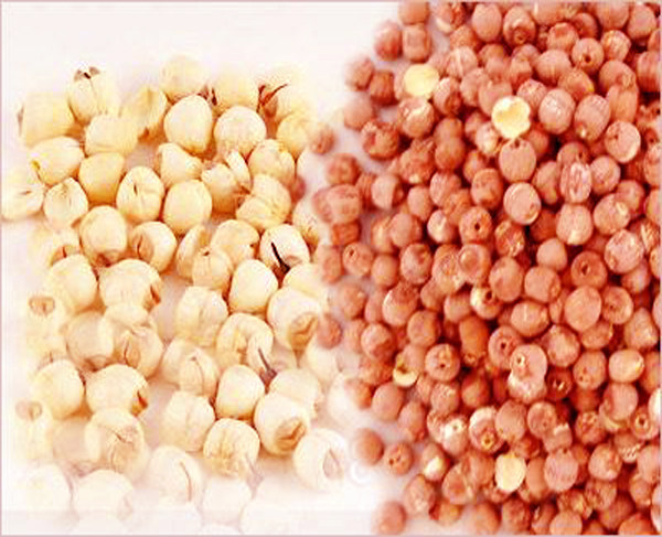 安徽特产女山湖"红莲子"