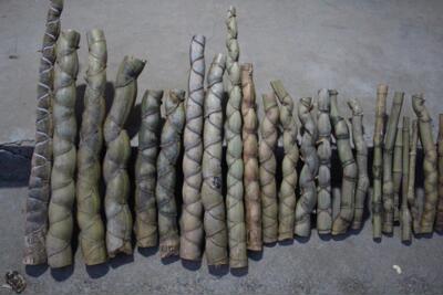 龟甲竹 奇异竹 人面竹 观音竹 竹竿 竹工艺品