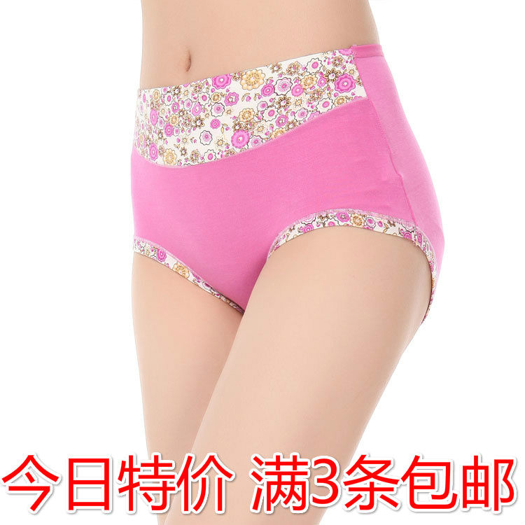 Slip Moyen-âge doux en La fibre de bambou - Ref 642821 Image 1