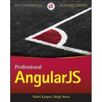 【预订】Professional Angularjs