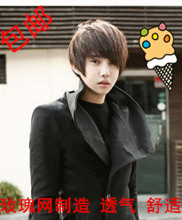 Perruque - Ref 2611527 Image 1