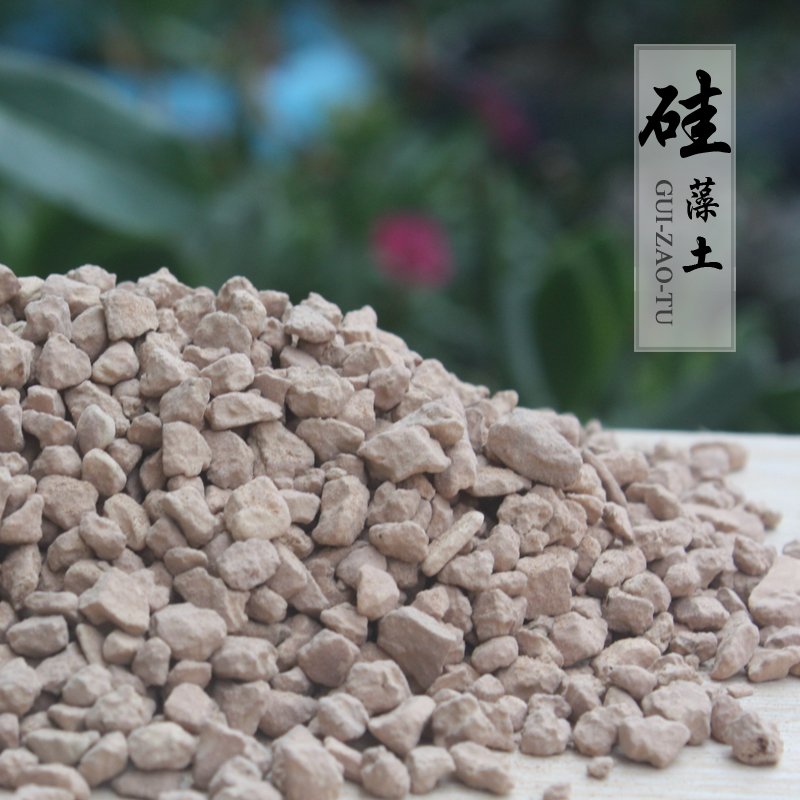 多肉植物盆栽硅藻土图片