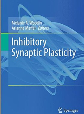 【预订】Inhibitory Synaptic Plasticity