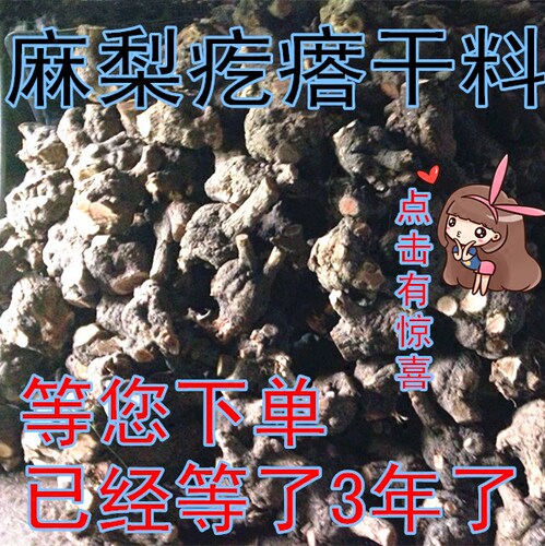 麻梨疙瘩树根根瘤手把件烟斗