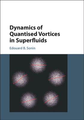 【预订】Dynamics of Quantised Vortices in Su...
