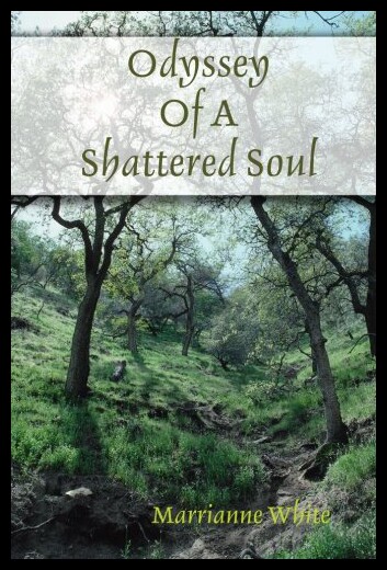 【预售】Odyssey of a Shattered Soul