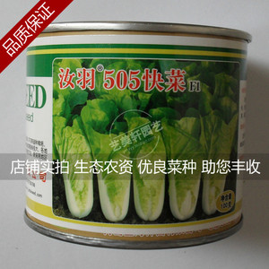 汝羽505快菜种子 优良杂交快菜品种 速生小白菜种子 味鲜美 100g