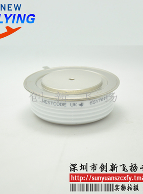 6SY7010-0AA50晶闸管6SY7010-0AA45全新现货 SUNYUANSZ一级代理