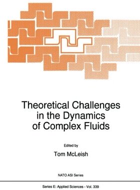 【预订】Theoretical Challenges in the Dynami...