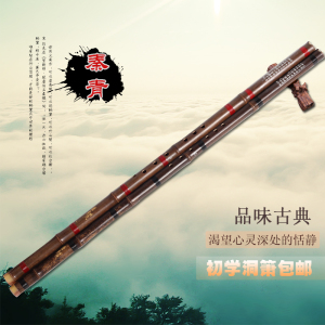 萧乐器初学洞箫八孔g调f调紫竹箫古朴箫成人零基础长萧玉箫一节箫