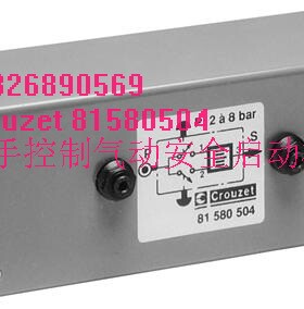 Crouzet 81580504 双手控制气动安全启动模块