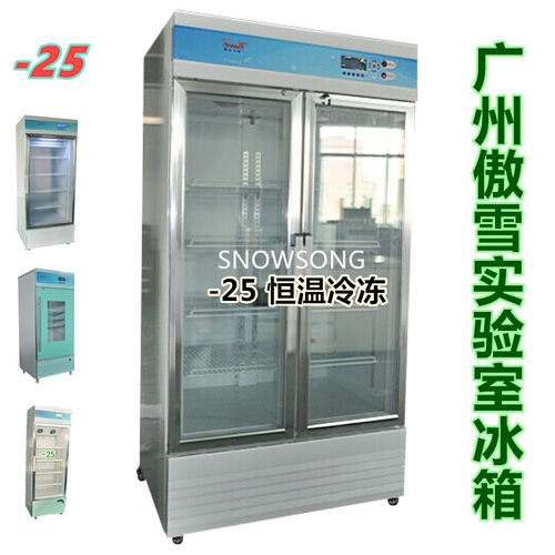 冷冻柜智能恒温傲雪冷藏
