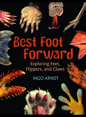 【预售】Best Foot Forward: Exploring Feet, Flippers, and