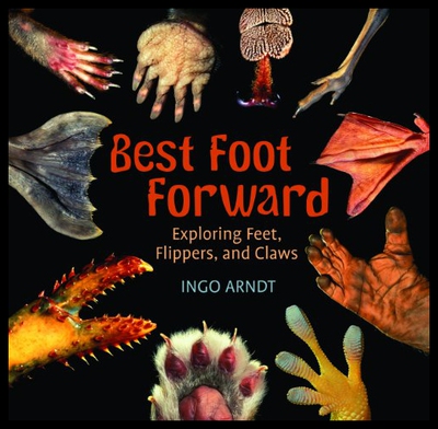 【预售】Best Foot Forward: Exploring Feet, Flippers, and