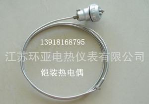 。铠装热电偶WRN-131  L=3*800mm K型热电偶 江苏环亚