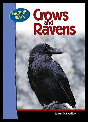 【预售】Crows and Ravens