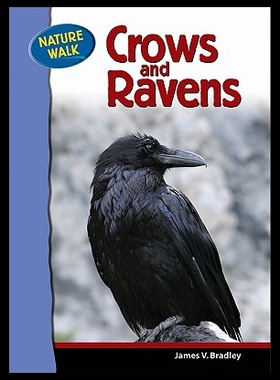 【预售】Crows and Ravens