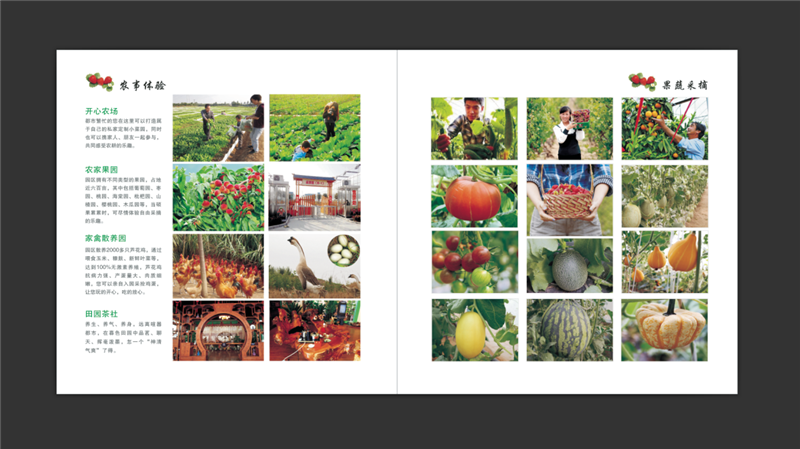 高清精品图片源文件素材---请务必看详情后购买，以便快速获取素材资料！图片素材是jpg格式(排版好的源文件是cdr或psd或AI格式）。