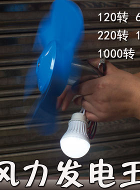 微型风力大功率应急电机