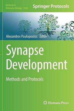 【预订】Synapse Development