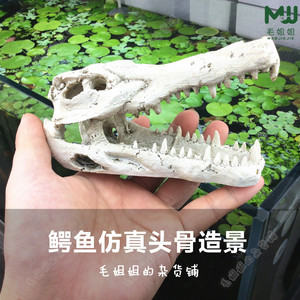 爬虫箱水族箱布景造景鳄鱼头骨躲避洞穴造景装饰树脂材质安全无毒