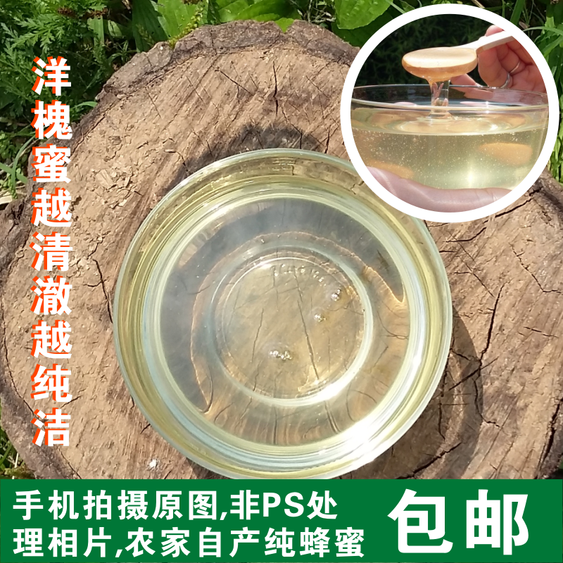【陇上庄园】老蜂农水白色洋槐蜜槐花蜜深山新蜜包邮500克