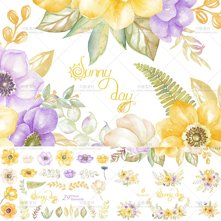 淡雅海葵花卉婚礼请柬贺卡照片后期海报手绘水彩PNG免抠图片素材