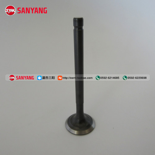 气门三阳听你Taking110排气门