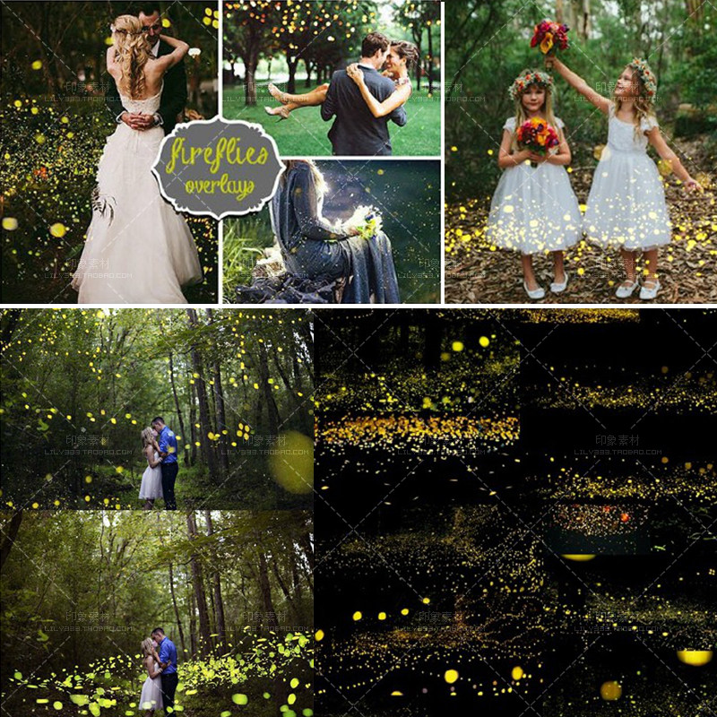 唯美森林萤火虫滤色高光梦幻特效溶图高清JPG背景图片素材