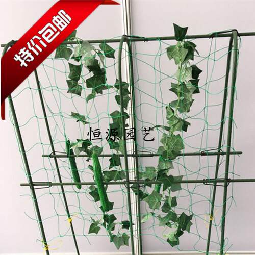 园艺支架拱型大棚攀援植物爬藤
