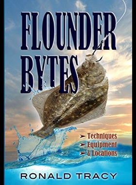 【预售】Flounder Bytes