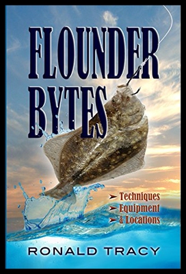 【预售】Flounder Bytes