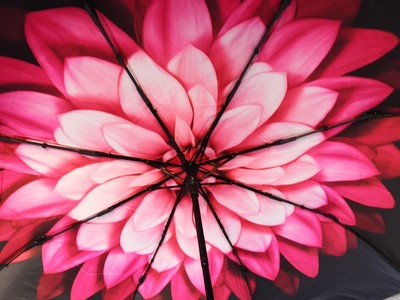 【揭秘】蕉下小黑伞怎么样,蕉下小黑伞真假辨别,质量好不好